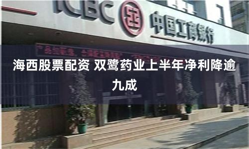 海西股票配资 双鹭药业上半年净利降逾九成