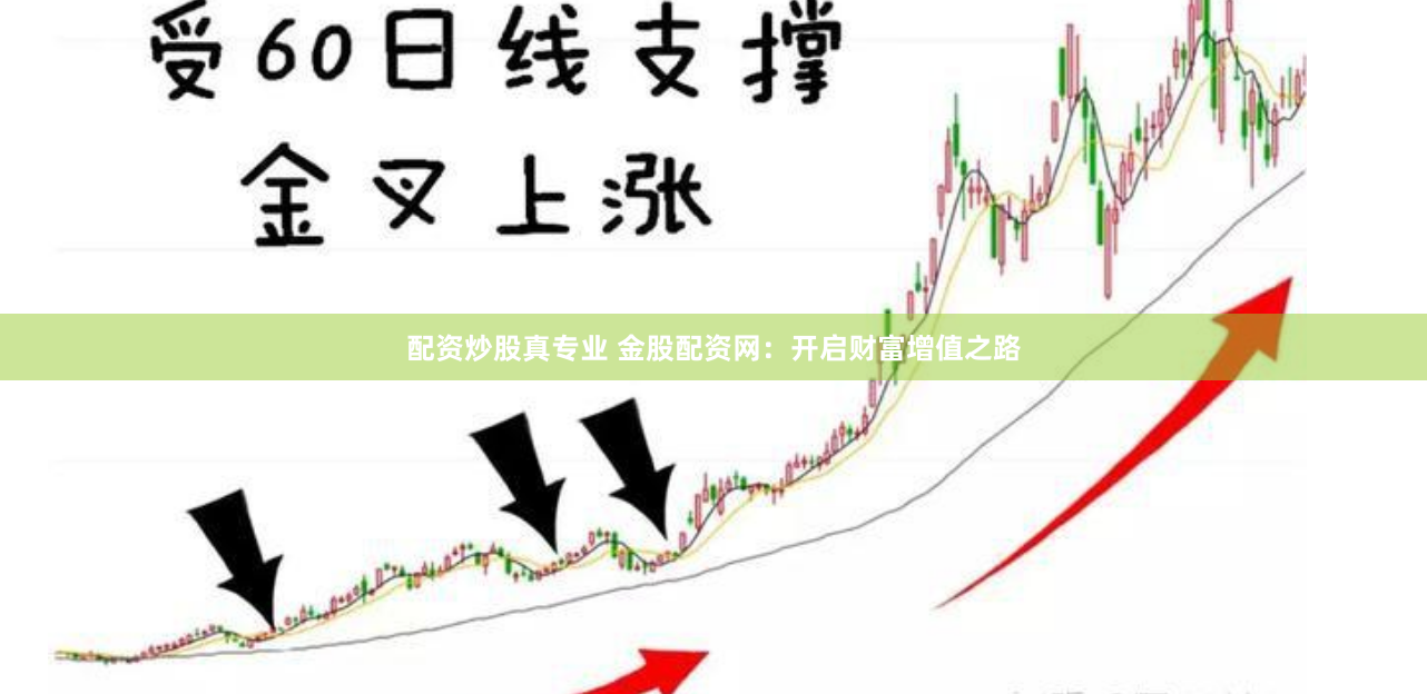 配资炒股真专业 金股配资网：开启财富增值之路